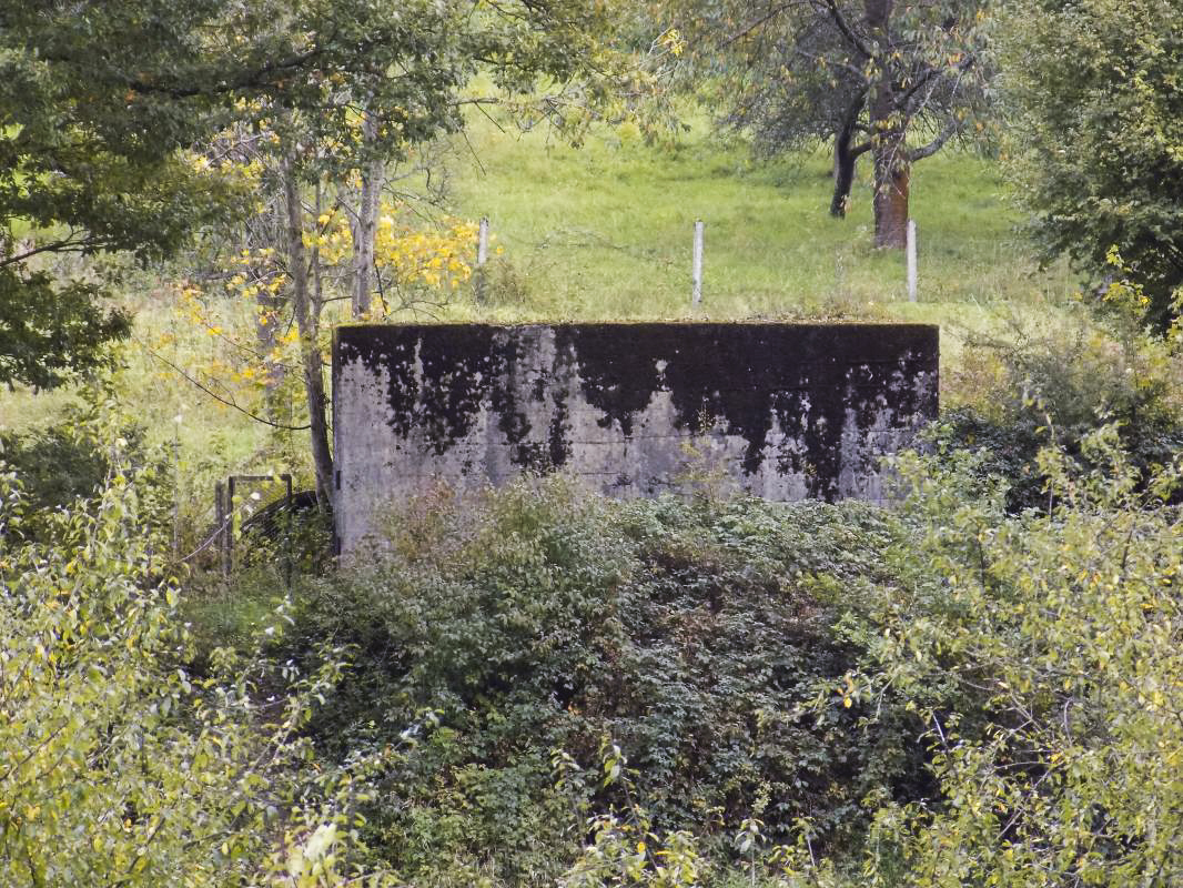 Ligne Maginot - BB44 - ANCHAMPS OUEST - (Blockhaus pour canon) - Face frontale prise de l'autre coté de la Meuse