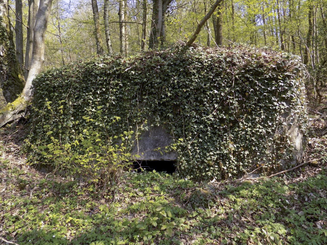 Ligne Maginot - BB49 - LES DAMES DE MEUSE - (Blockhaus pour canon) - Face frontale