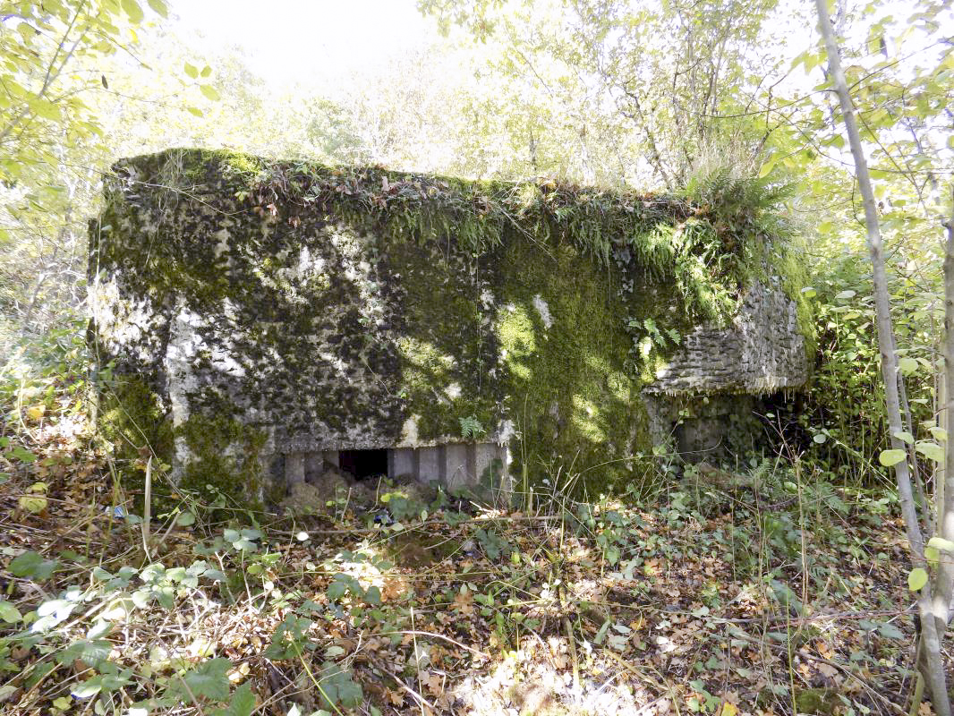 Ligne Maginot - BB59-C - BOIS DE L'HERMITAGE SUD - (Blockhaus pour arme infanterie) - Face droite