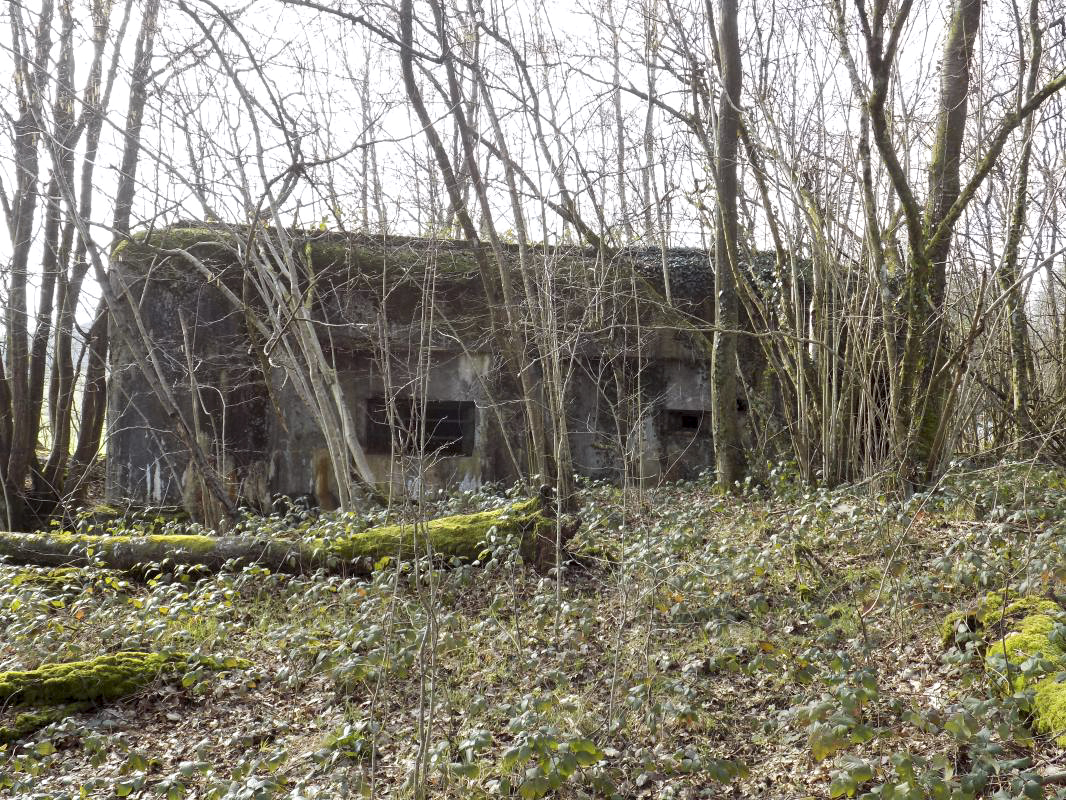 Ligne Maginot - TROIS FONTAINES SUD - (Blockhaus lourd type STG / STG-FCR - Simple) - 