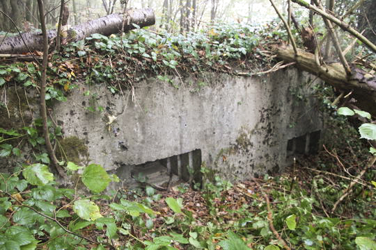 Ligne Maginot - BB14-A - LES ROSSIGNOLS - (Blockhaus pour arme infanterie) - Façade Sud