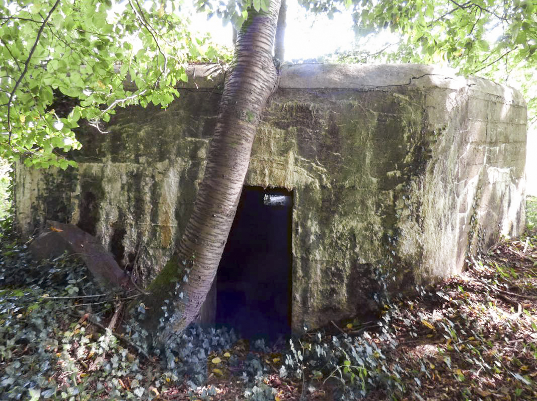 Ligne Maginot - BB69 - BOIS DE LA PIERRONNERIE NORD - (Blockhaus pour arme infanterie) - 