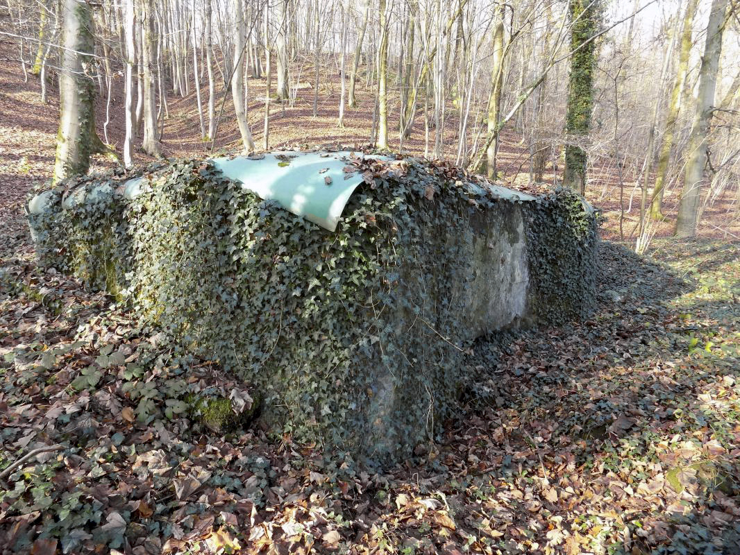 Ligne Maginot - BB72-B - LES HAUTS-PRES - (Blockhaus pour arme infanterie) - 