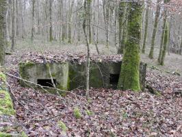 Ligne Maginot - BB42-D - (Blockhaus pour arme infanterie) - Les deux créneaux de tir vers la gauche.
