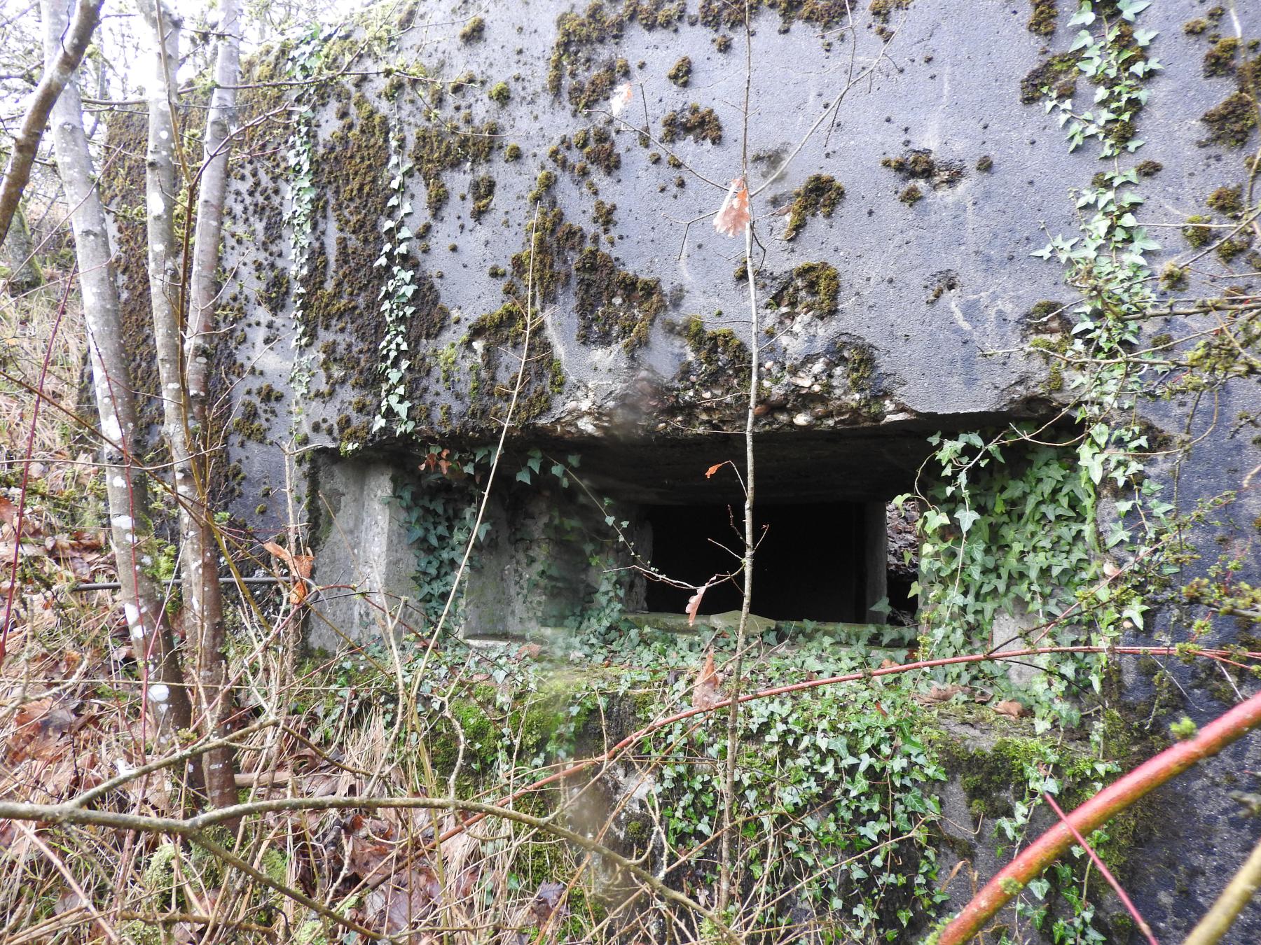 Ligne Maginot - BB376 - (Blockhaus pour canon) - Le créneau pour canon anti-char. La trémie n'est pas installée.