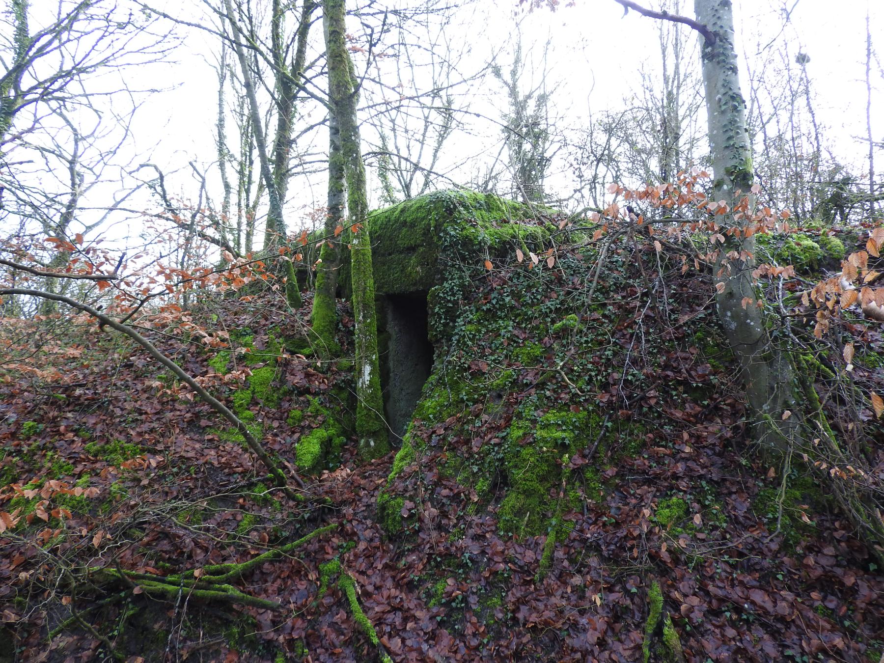 Ligne Maginot - BOIS DE KLANG NORD 4 - (Observatoire d'infanterie) - L'entrée de l'observatoire.