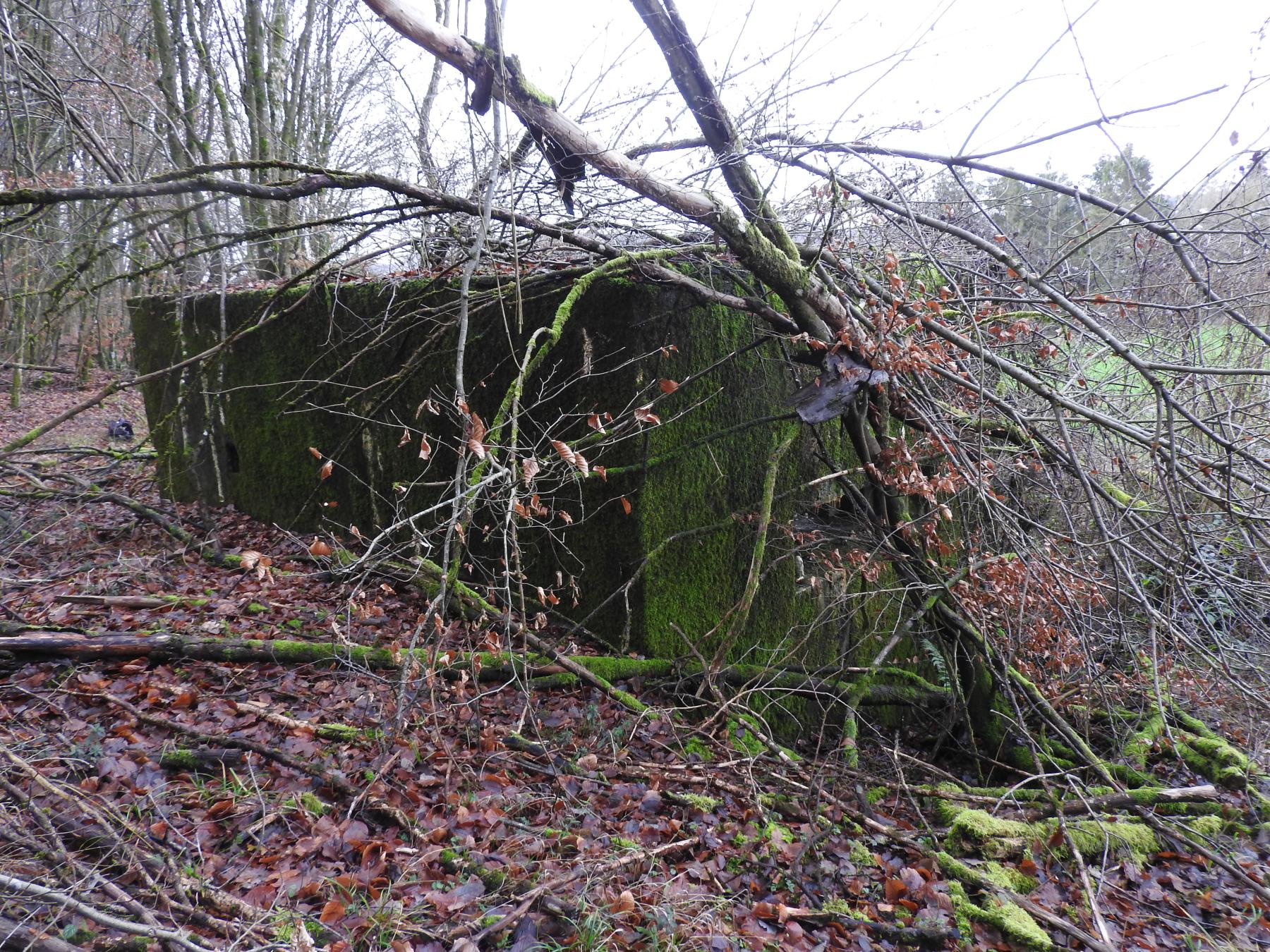 Ligne Maginot - BB355 - (Blockhaus pour canon) - La  façade de tir quelque peu encombrée par des branchages.