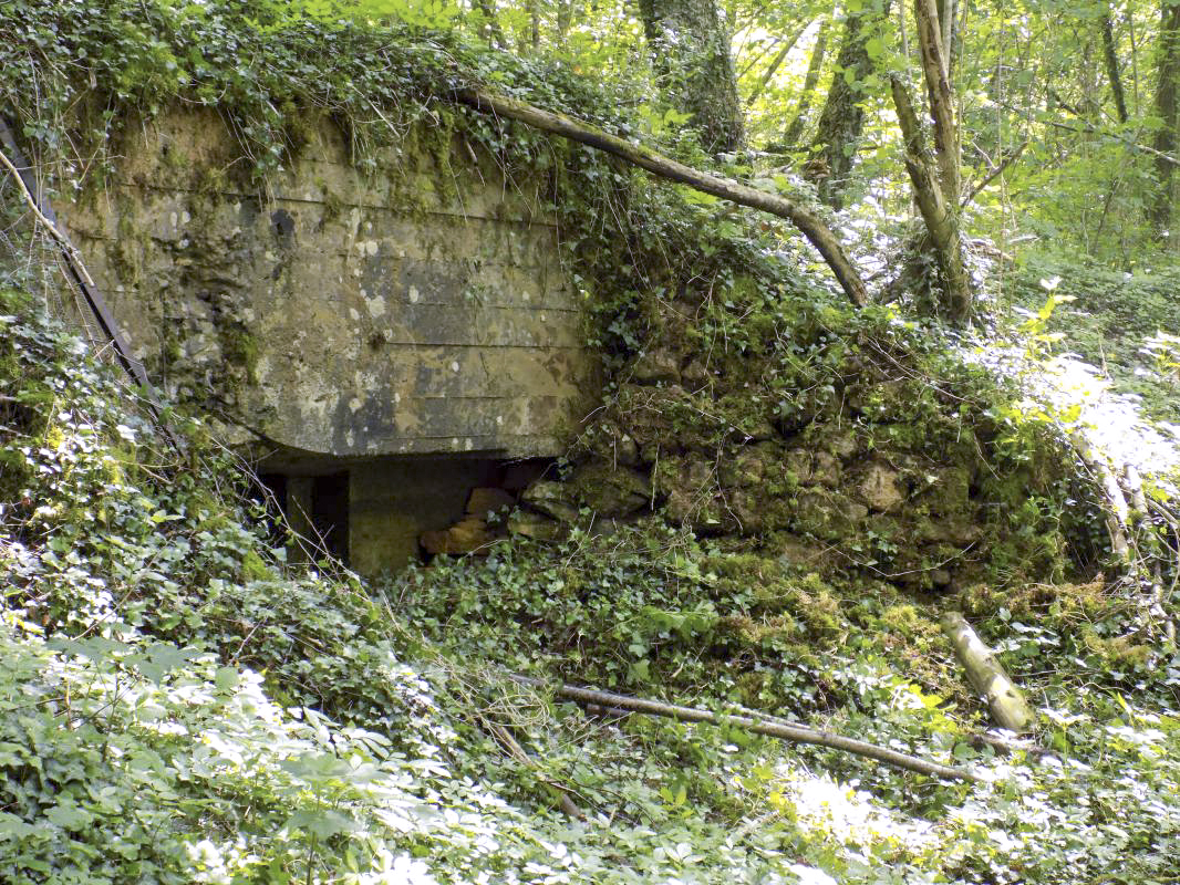 Ligne Maginot - 26A - RIMONNEAU OUEST - (Blockhaus pour canon) - Face frontale gauche, créneau AC