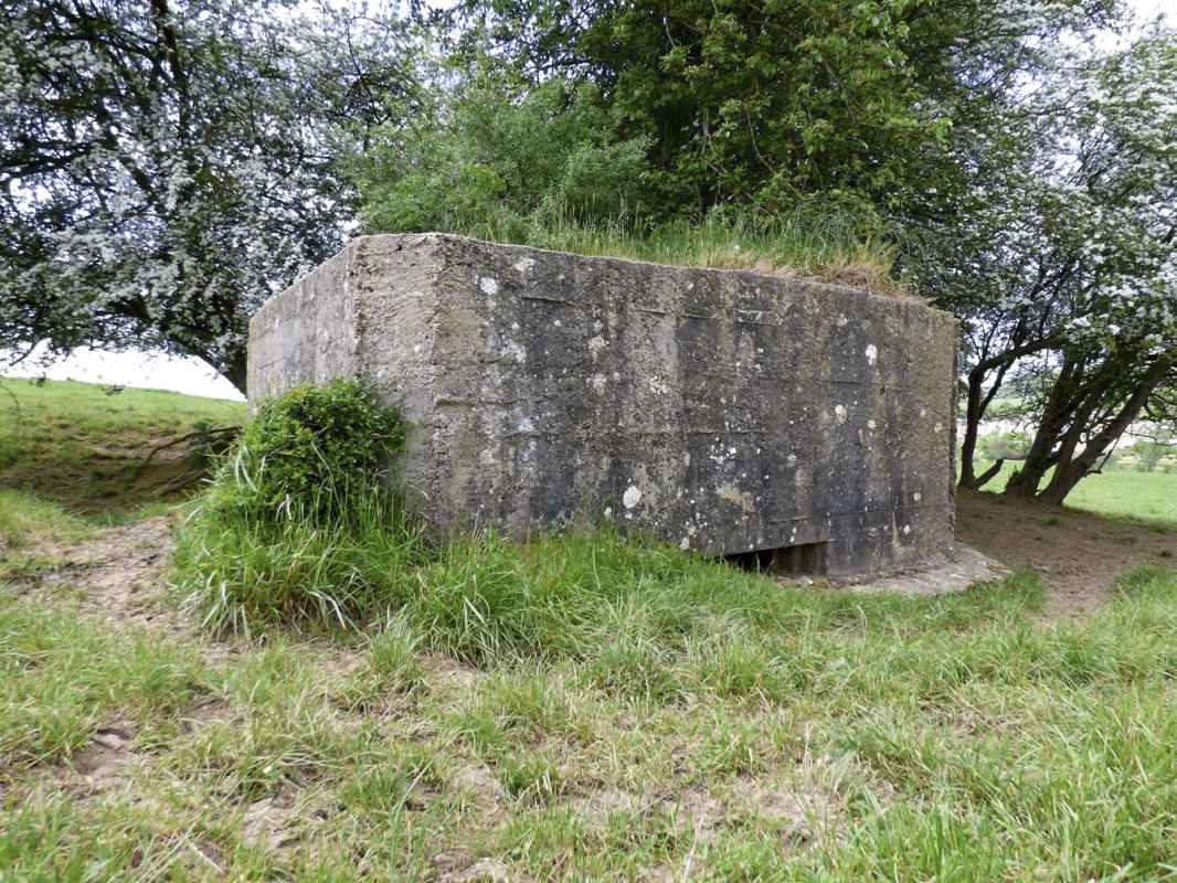 Ligne Maginot - BB79-A - LA GROSSE BORNE - (Blockhaus pour canon) - 