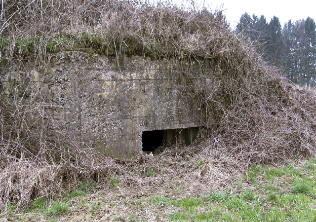Ligne Maginot - BB80-A - LE TILLEUL - (Blockhaus pour canon) - 
