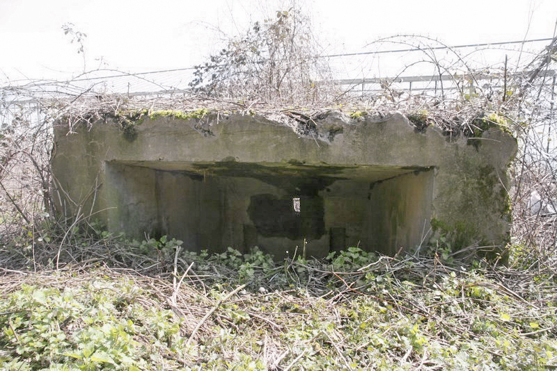 Ligne Maginot - ABO16 - STEINBESCH EST - (Blockhaus pour canon) - 