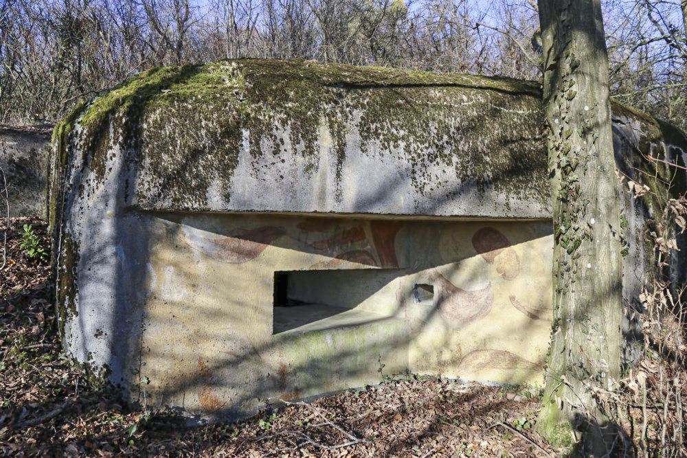 Ligne Maginot - AB9 - (Blockhaus pour arme infanterie) -           