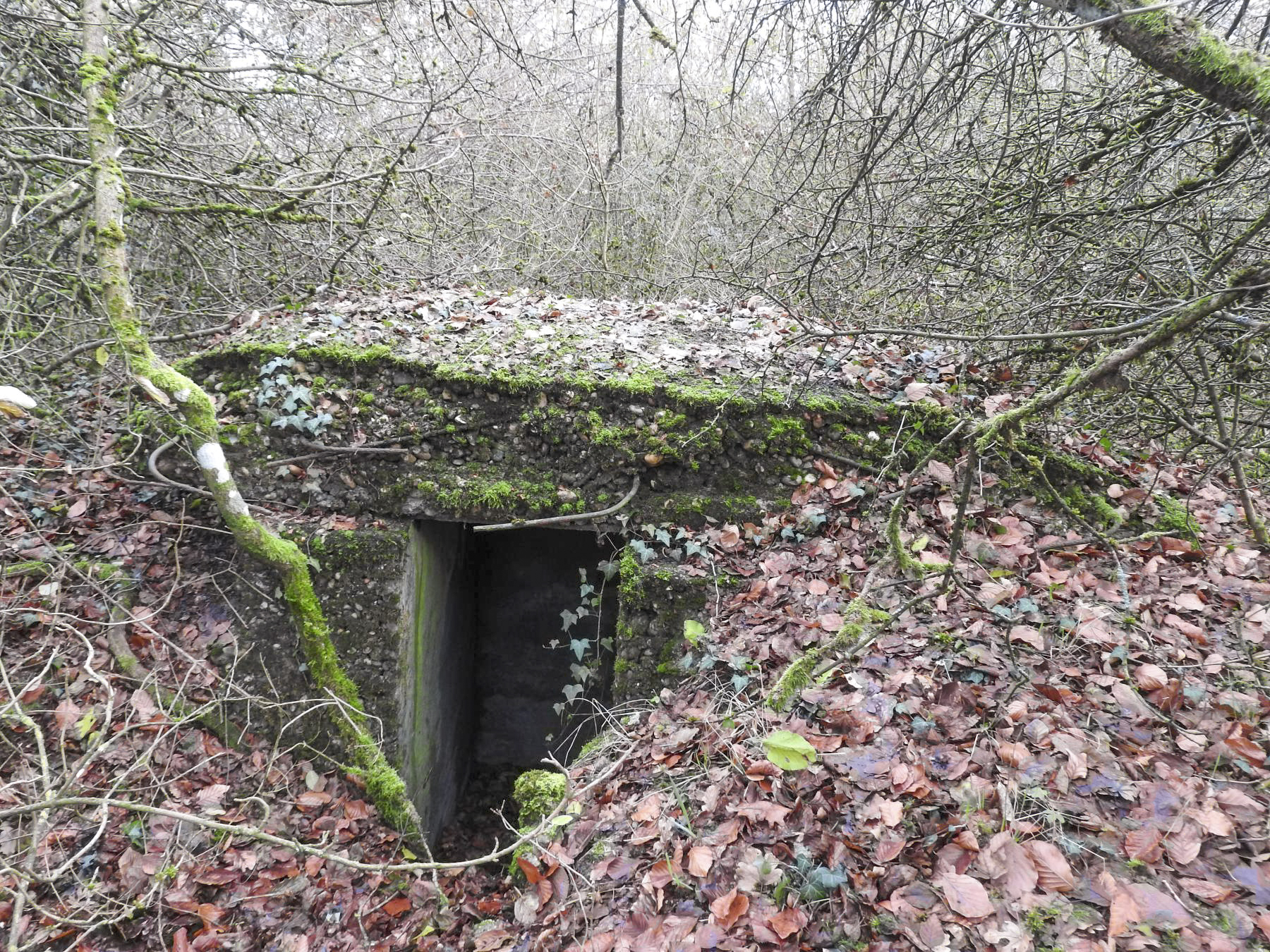 Ligne Maginot - BOIS DE KLANG NORD 2 - (Observatoire d'infanterie) - L'entrée de l'observatoire bétonné.