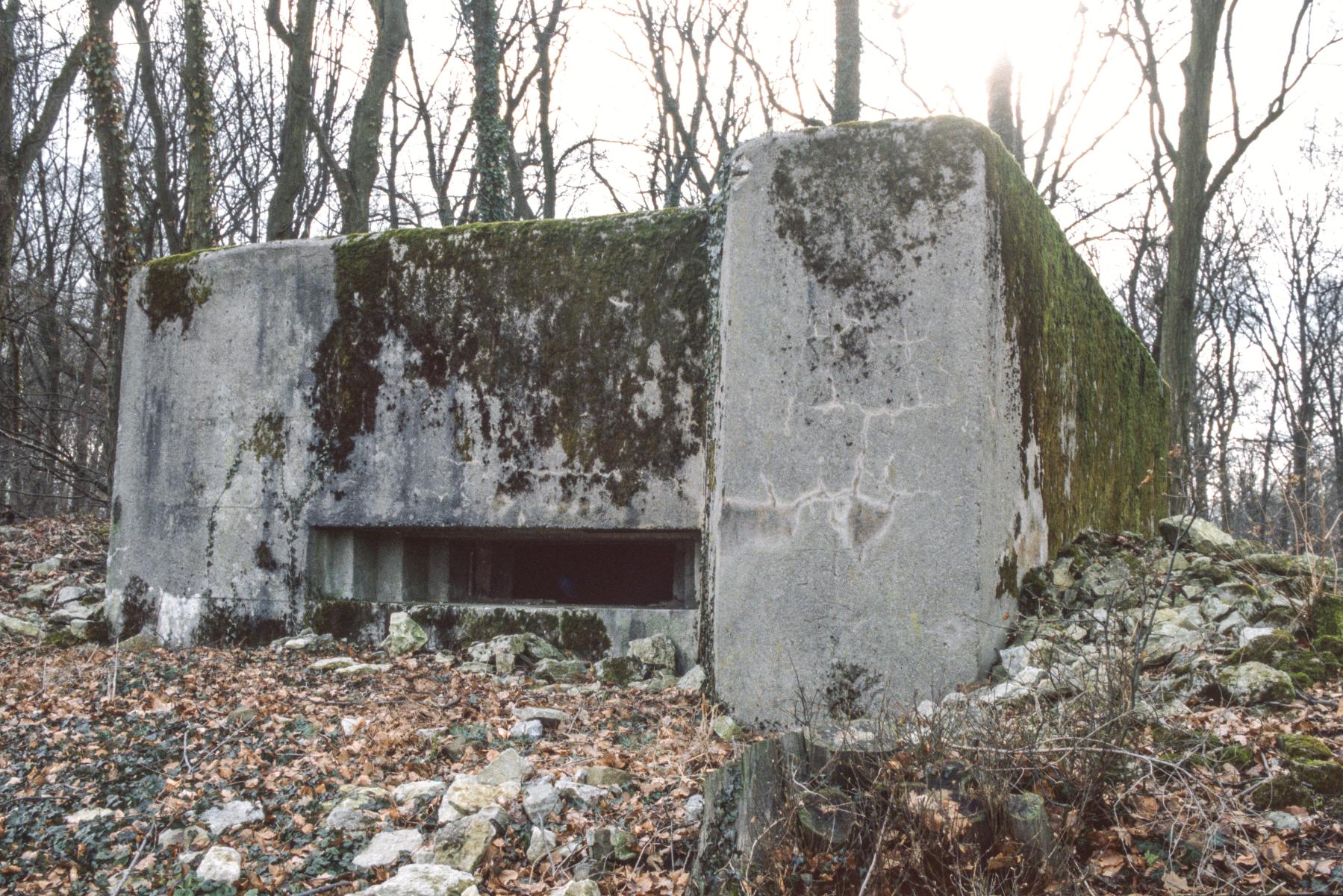 Ligne Maginot - BAMBESCH NORD 1 - (Blockhaus pour canon) - 