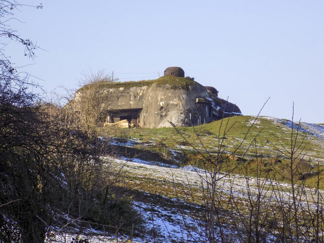 Ligne Maginot - 72BIS - THONNE NORD - (Blockhaus pour canon) - Vue du casemate de Christ vers le nord-ouest à 250m