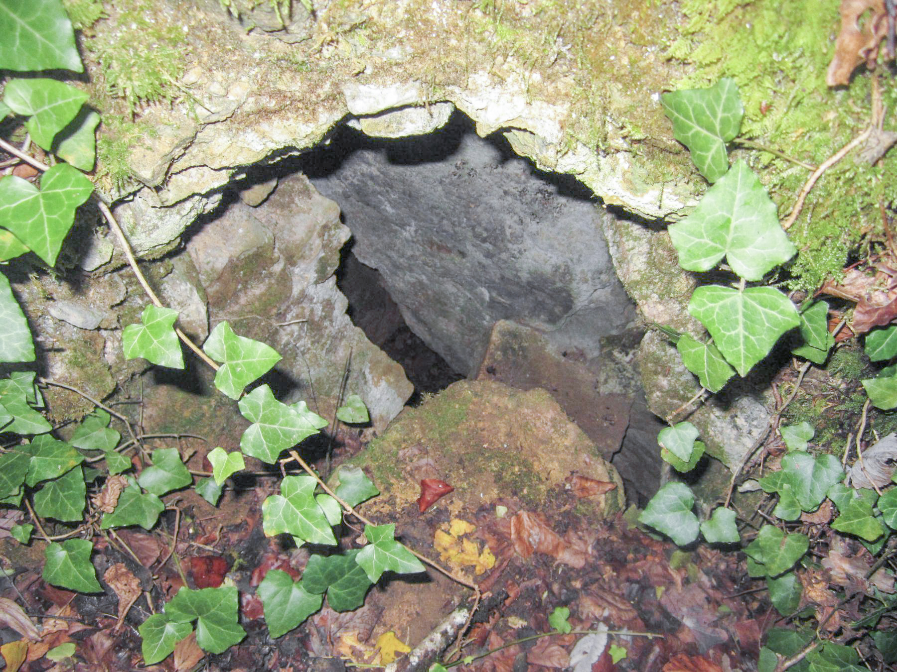 Ligne Maginot - HAUT DE VILLERS - (PC) - Abri sous roc effondré 