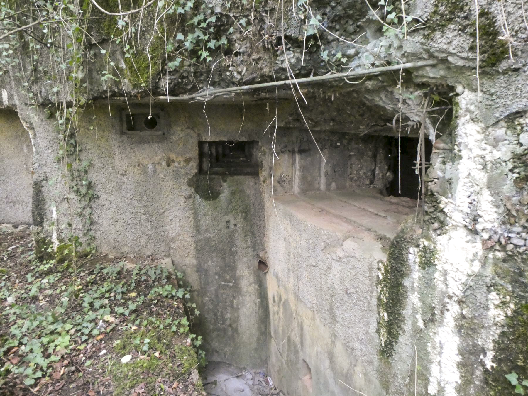 Ligne Maginot - 129 - L'EPINETTE - (Blockhaus pour canon) - 