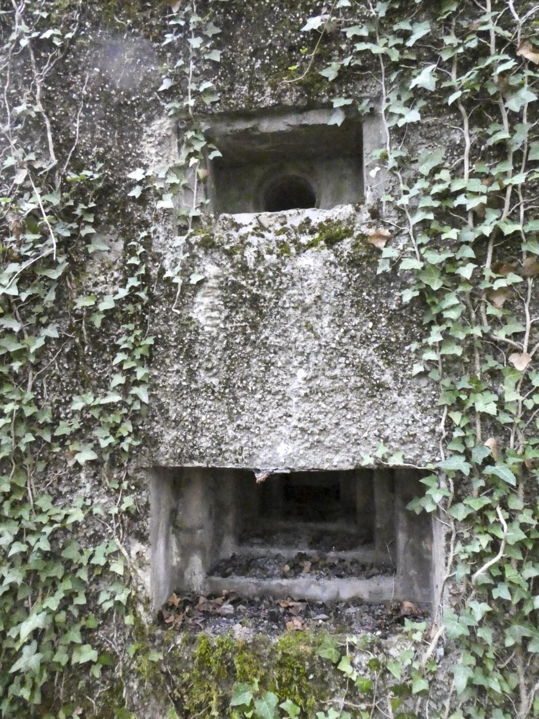 Ligne Maginot - 129 - L'EPINETTE - (Blockhaus pour canon) - 