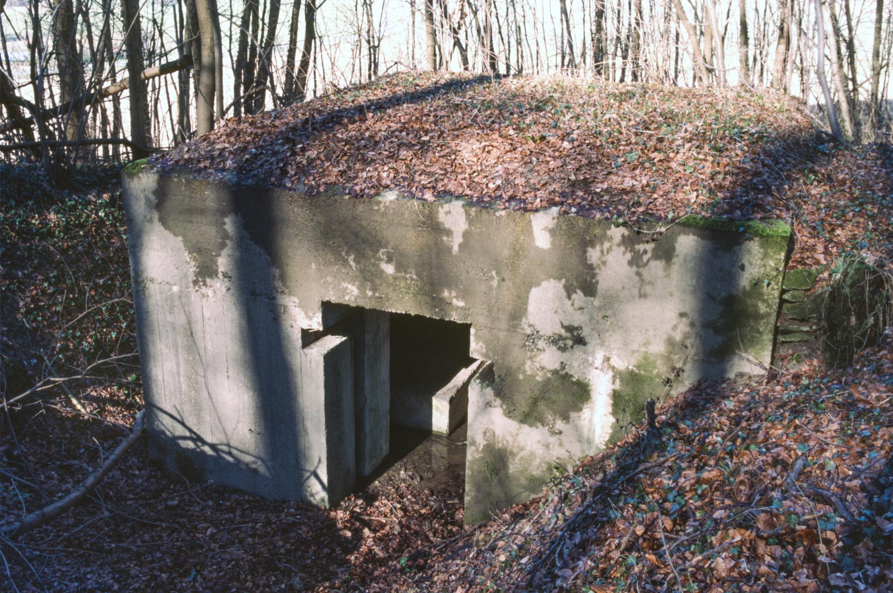Ligne Maginot - BOIS DE KERFENT NORD 3 - (Blockhaus pour canon) - 