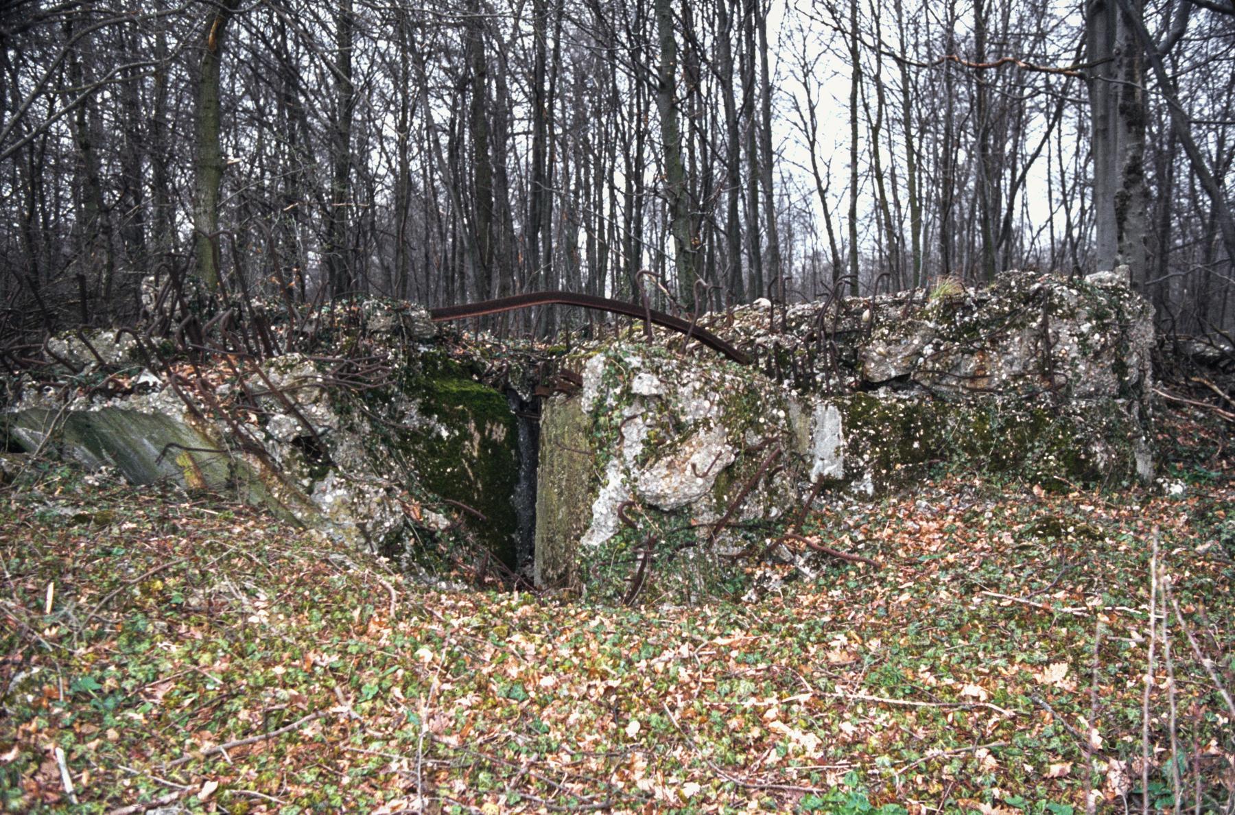 Ligne Maginot - BOIS DE KERFENT SUD 2 - (Blockhaus de type indéterminé) - 