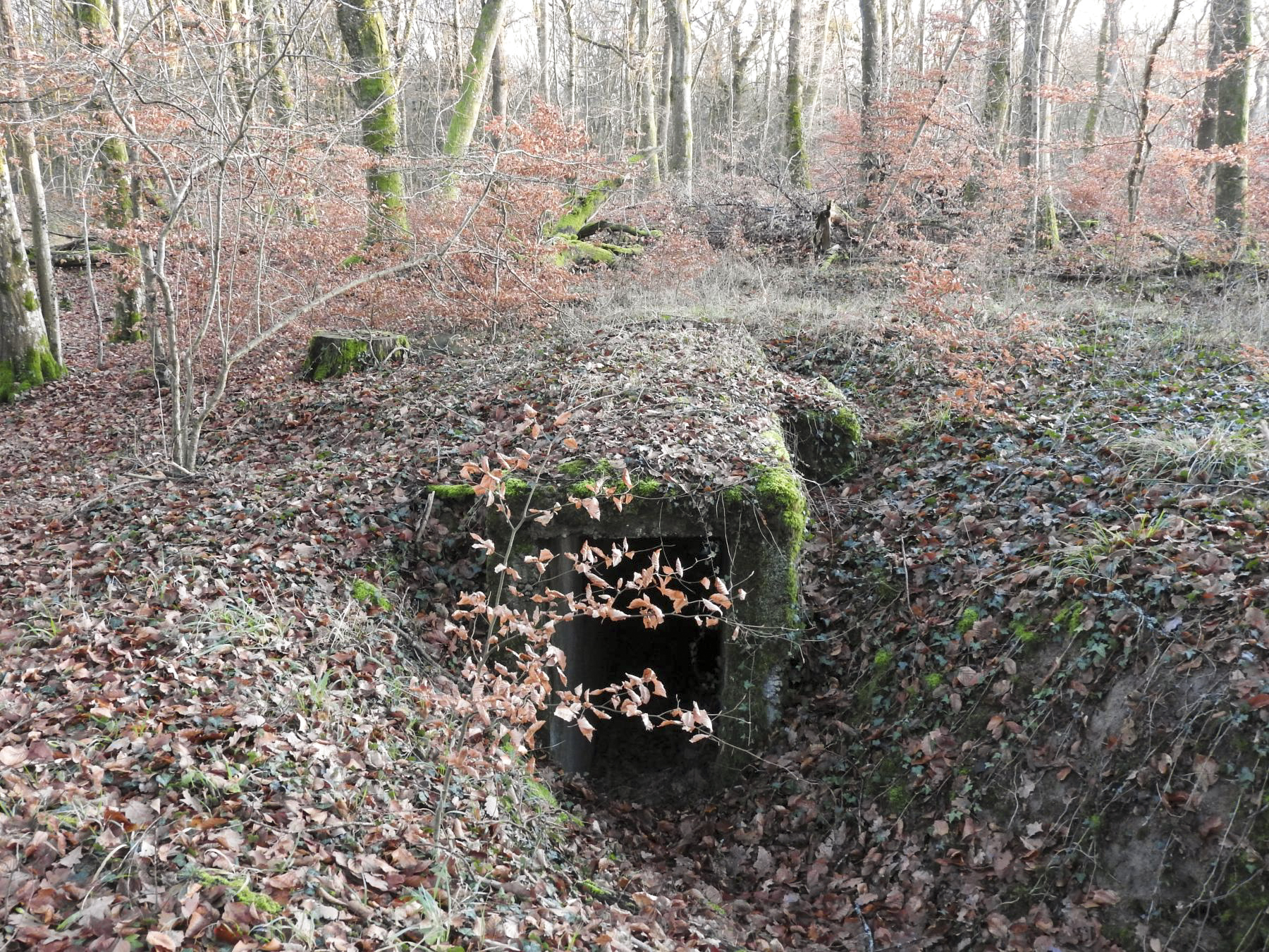 Ligne Maginot - Bb43-E (Blockhaus pour arme infanterie) - L'entrée du blockhaus.