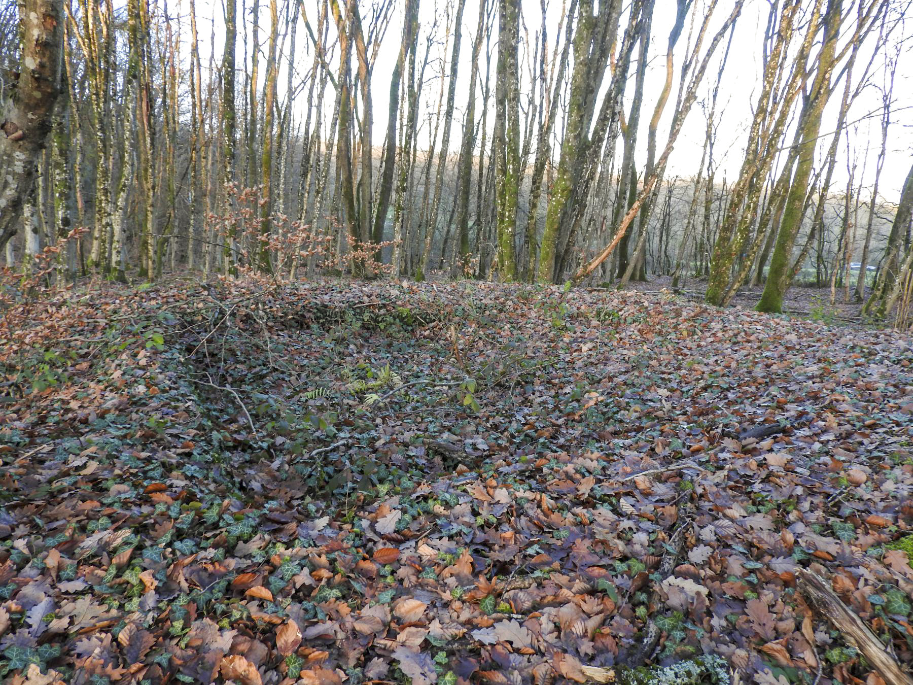 Ligne Maginot - BB43-C - (Cuve pour canon) - La cuve de forme carré est encore discernable bien que comblé par de la terre et des feuilles.