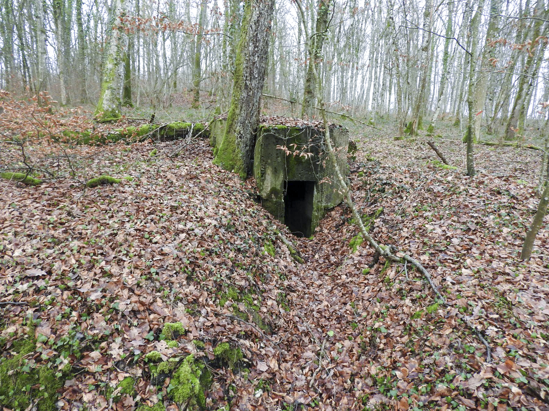 Ligne Maginot - BB42-D - (Blockhaus pour arme infanterie) - L'entrée du blockhaus.