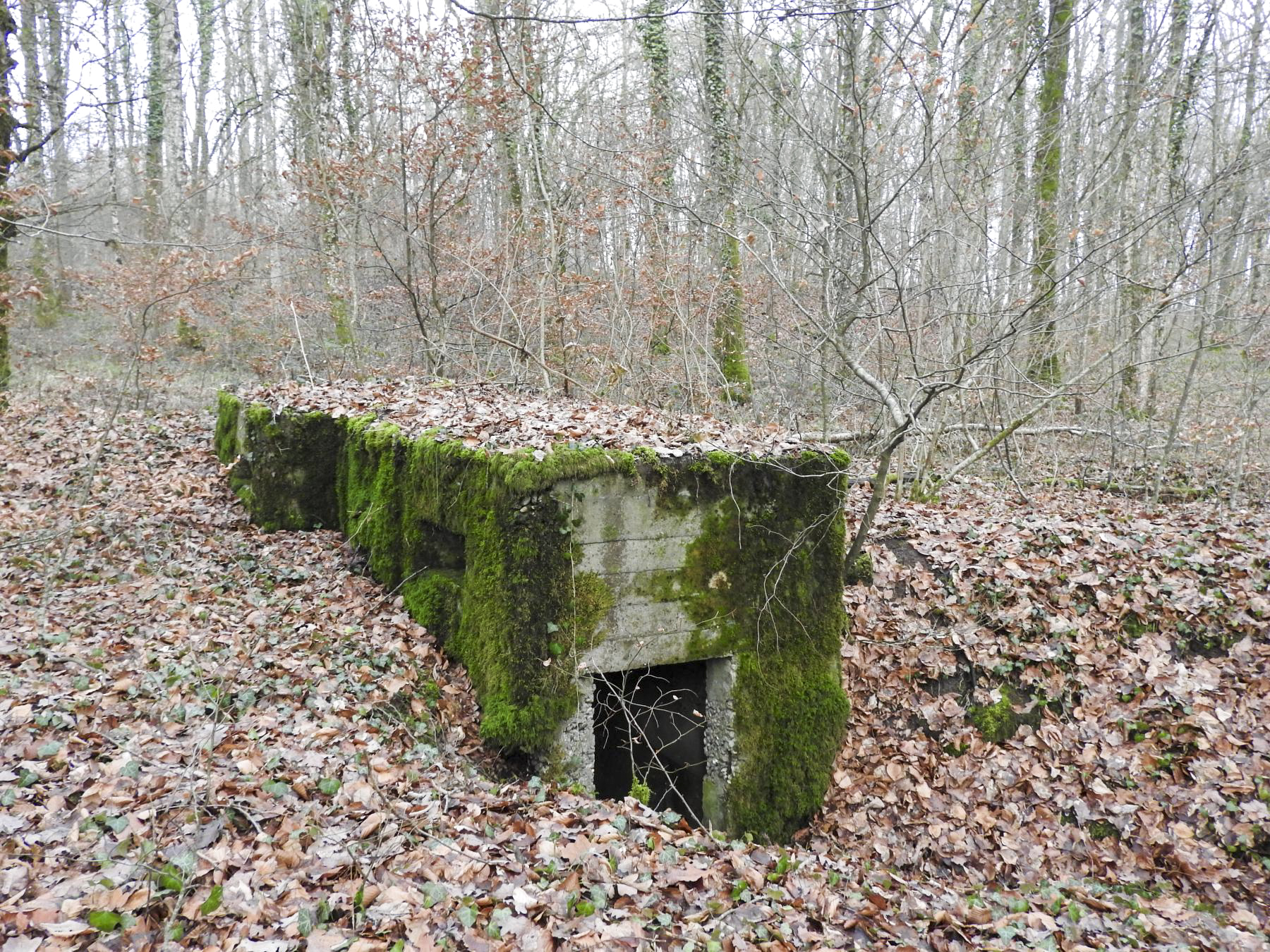 Ligne Maginot - BB42-C - (Blockhaus pour arme infanterie) - L'entrée du blockhaus.