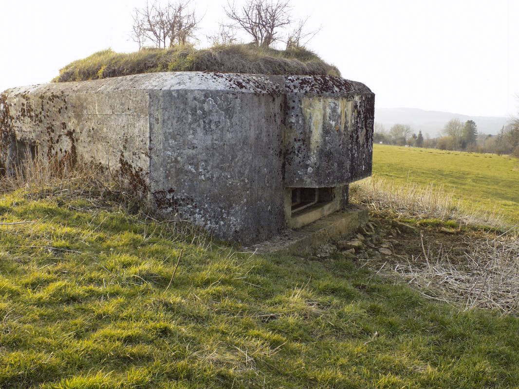 Ligne Maginot - 1B - VAUX LES MOUZON EST - (Blockhaus pour canon) - L'arrière et face est