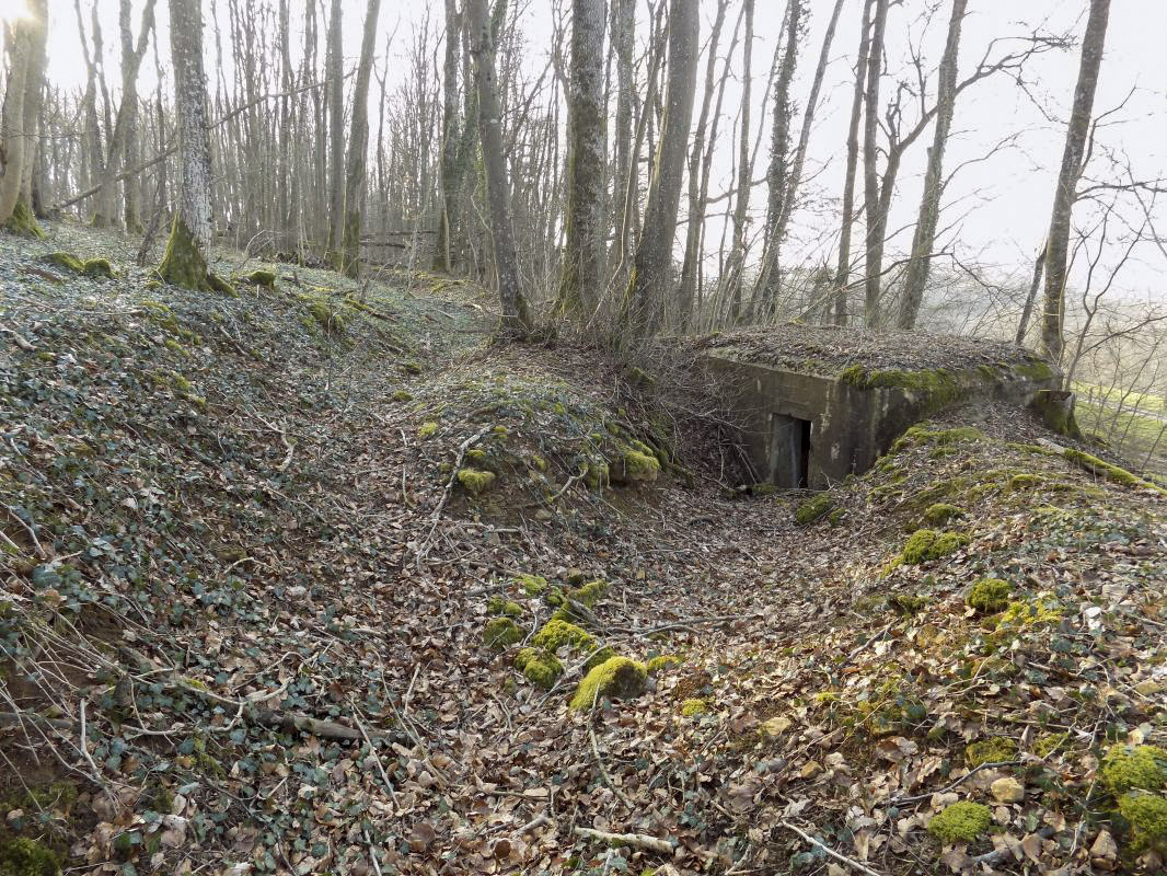 Ligne Maginot - 3B - FERME LA FOLIE OUEST - (Blockhaus pour arme infanterie) - L’arrière avec vestiges des tranchées