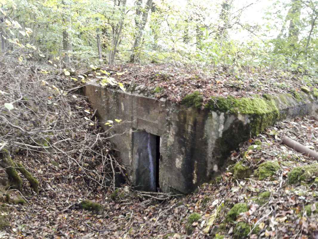 Ligne Maginot - 3B - FERME LA FOLIE OUEST - (Blockhaus pour arme infanterie) - Face arrière. 
Entrée