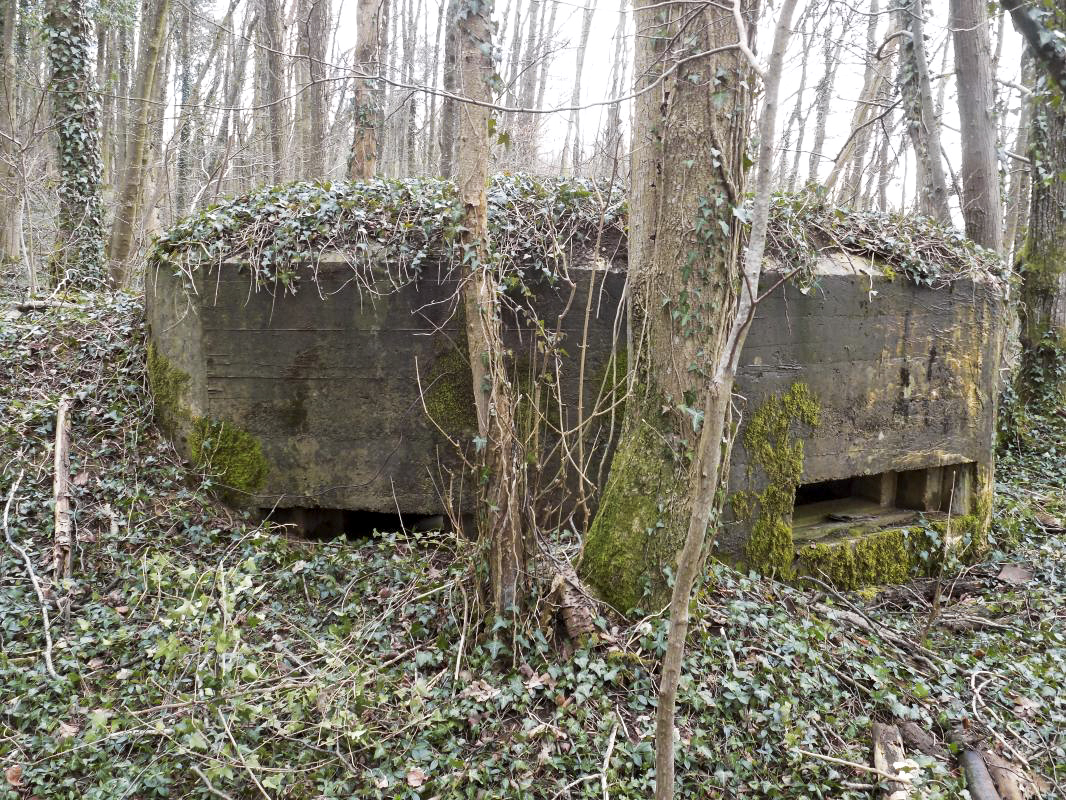Ligne Maginot - 4B - LES ENTRECOURS NORD - (Blockhaus pour canon) - Face frontale