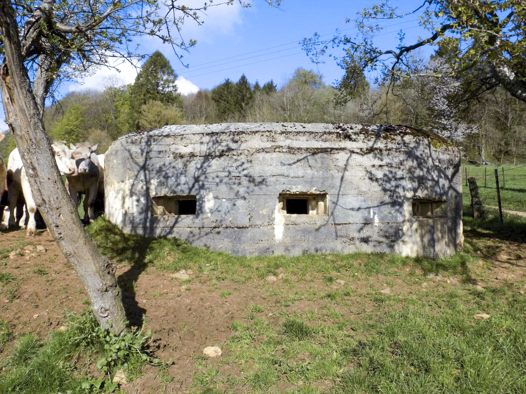 Ligne Maginot - 8C - AUTRECOURT SUD - (Blockhaus pour arme infanterie) - Face centrale