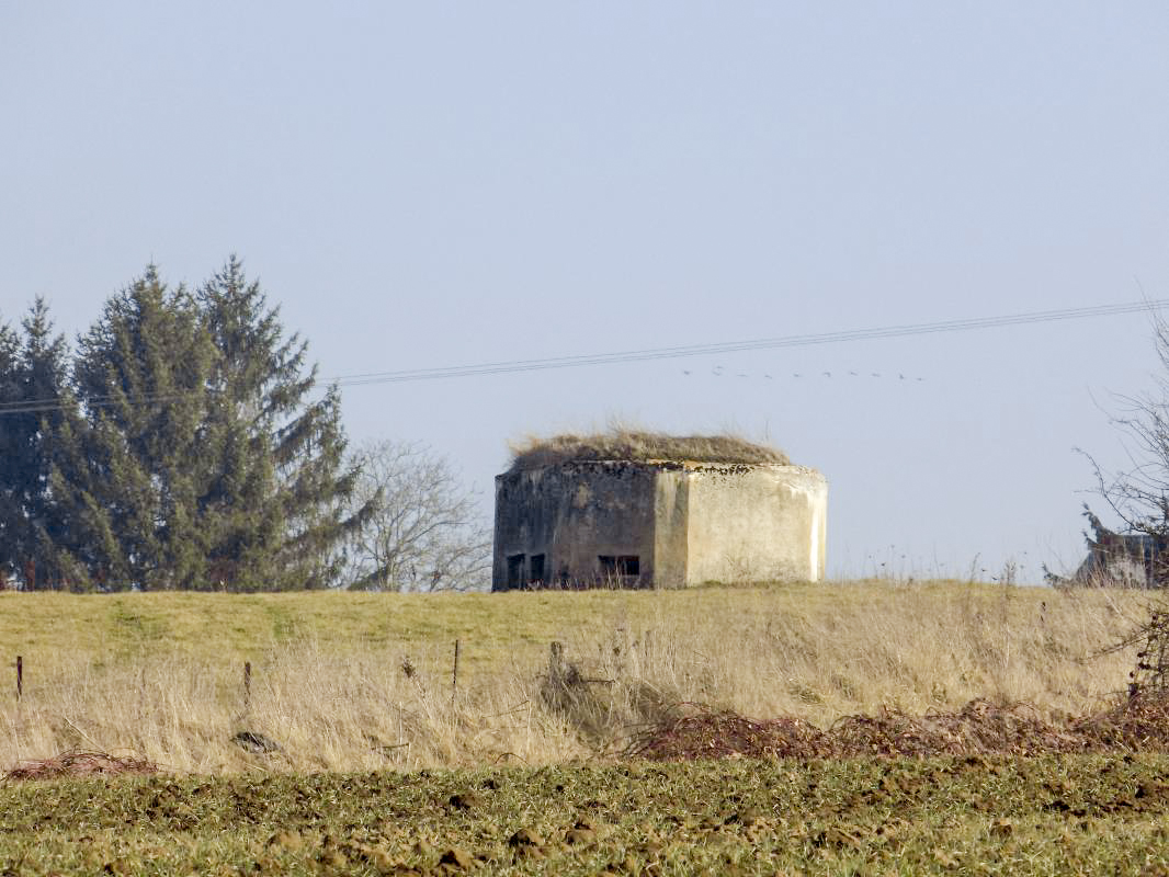 Ligne Maginot - 9A - ROUTE DE ROUVROY - (Blockhaus pour canon) - Pris du nord-est