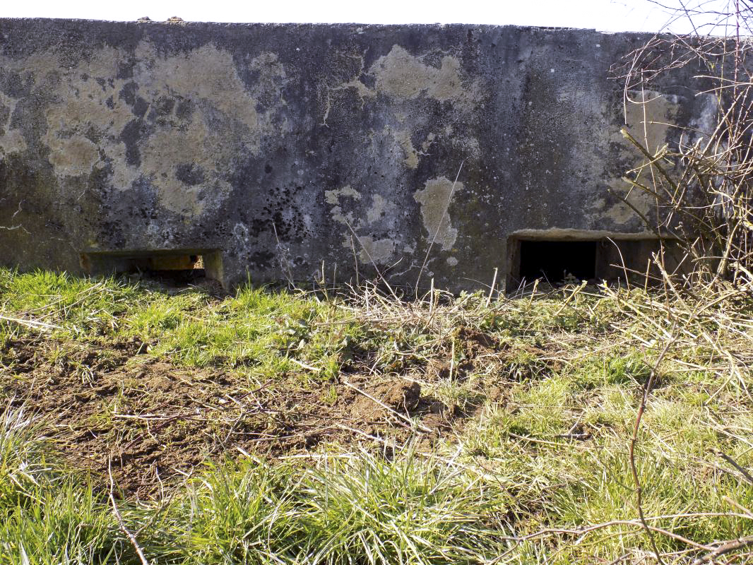 Ligne Maginot - 10A - LE CHENELET NORD - (Blockhaus pour canon) - Face l'est, les créneaux