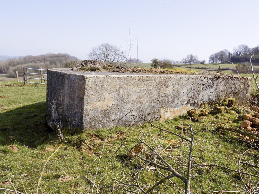Ligne Maginot - 10A - LE CHENELET NORD - (Blockhaus pour canon) - Face ouest