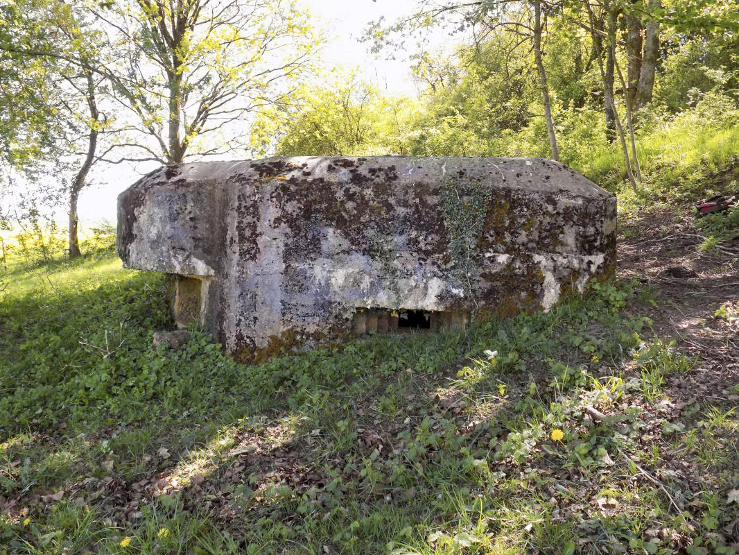Ligne Maginot - 11C - VALMONT - (Blockhaus pour arme infanterie) - Face gauche, créneau FM/Obs