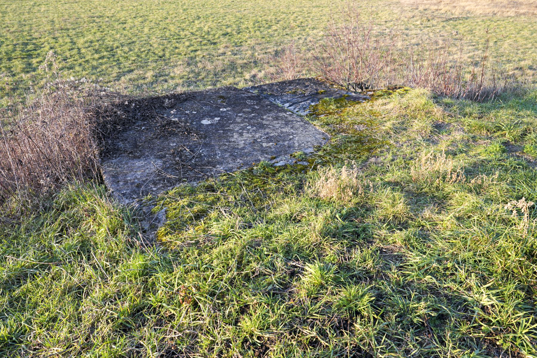 Ligne Maginot - 4 - WANTZENAU DIGUE 7 - (Cuve pour arme d'infanterie) - L'emplacement de la tourelle a été remblayé.