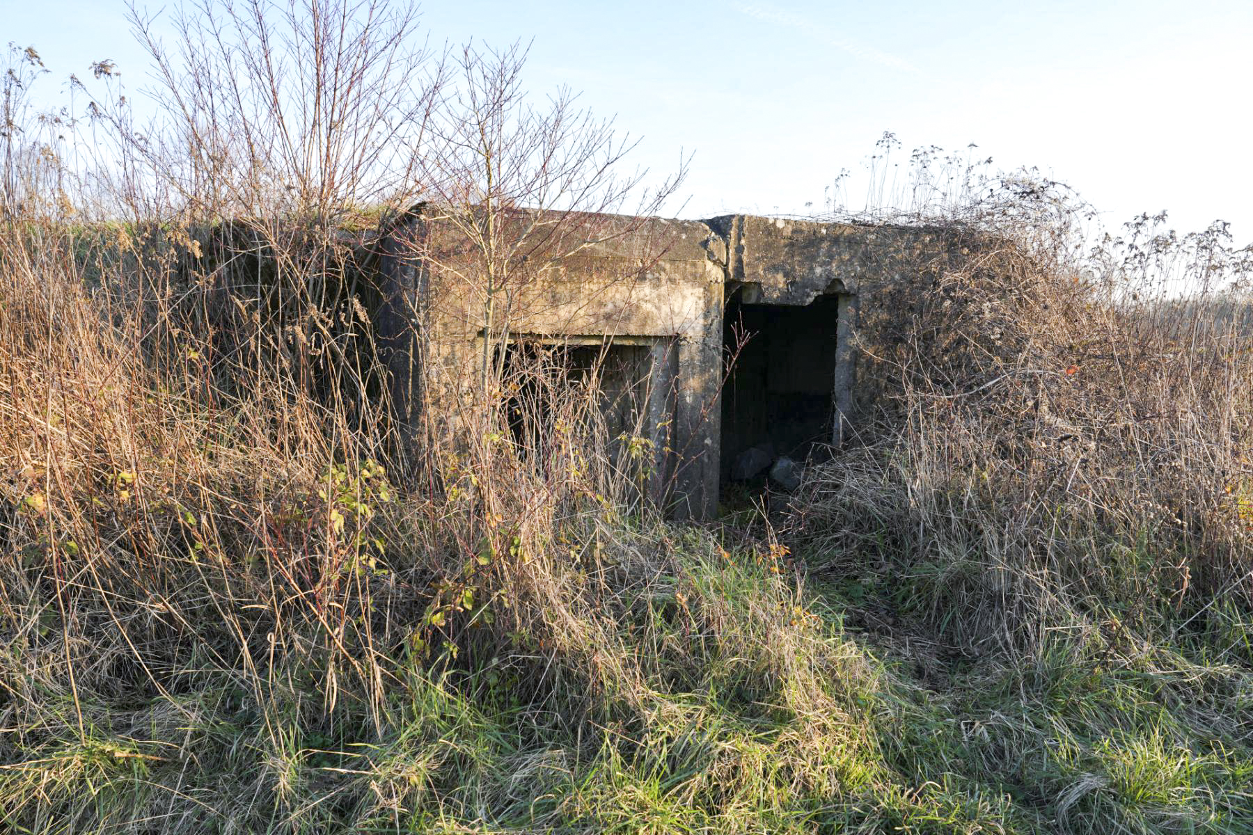 Ligne Maginot - 4 - WANTZENAU DIGUE 7 - (Cuve pour arme d'infanterie) - L'accès à l'encuvement et l'abri rajouté.