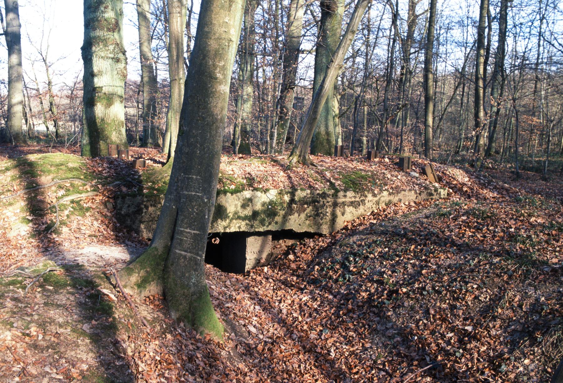 Ligne Maginot - UBERNIED 14 - (Blockhaus de type indéterminé) - 
