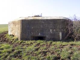 Ligne Maginot - 29B - TRUC DES CHANVRES - (Blockhaus pour canon) - 