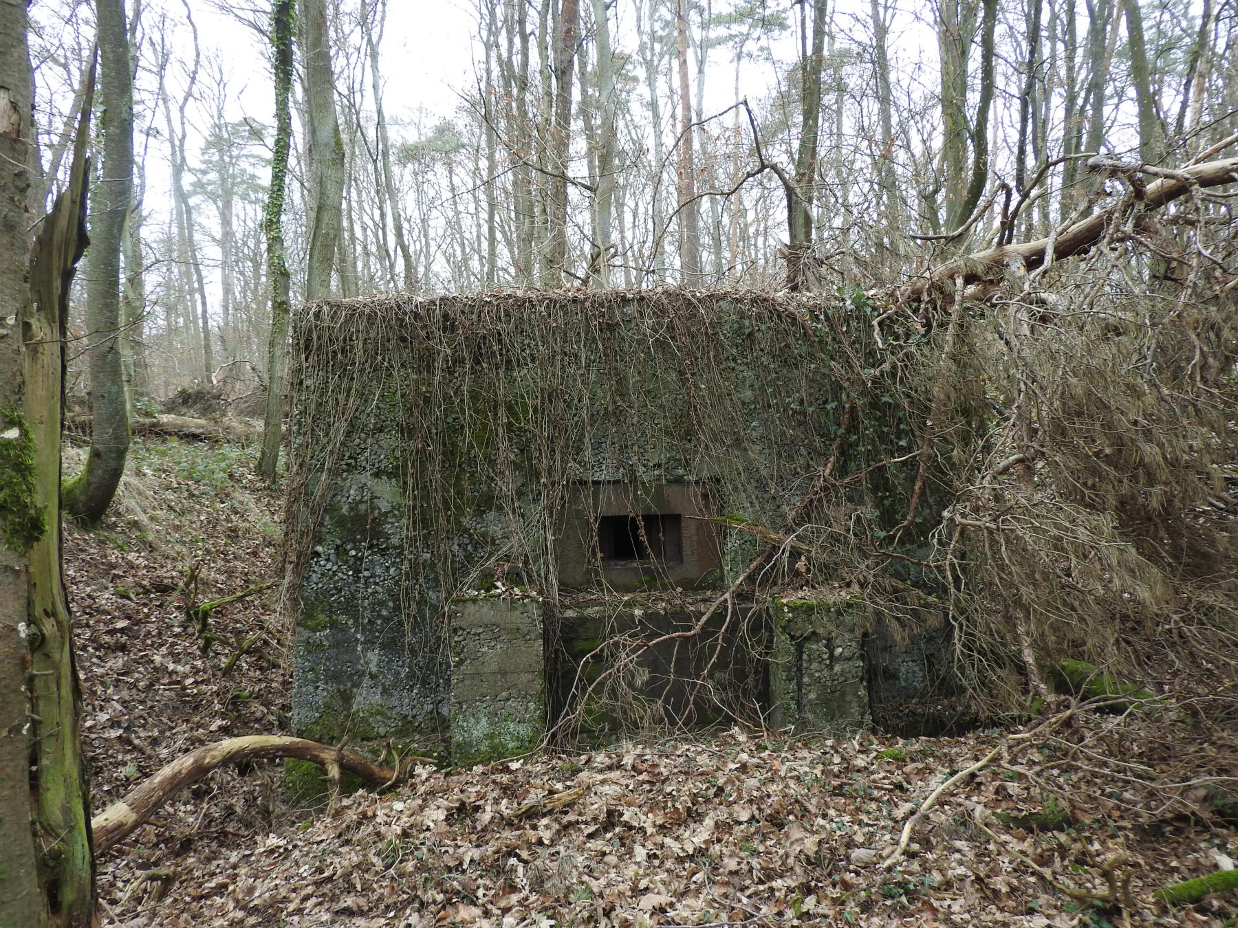 Ligne Maginot - BB310 - (Blockhaus pour arme infanterie) - La façade de tir.