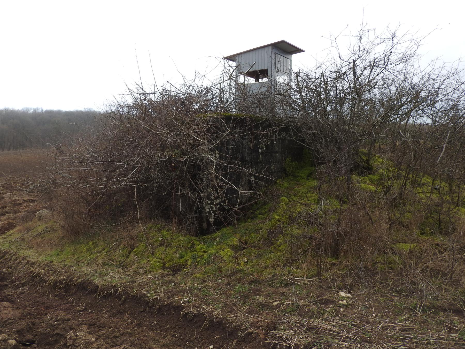Ligne Maginot - VALETTE SUD-OUEST - (Blockhaus pour arme infanterie) - La façade de tir cachée par les broussailles.