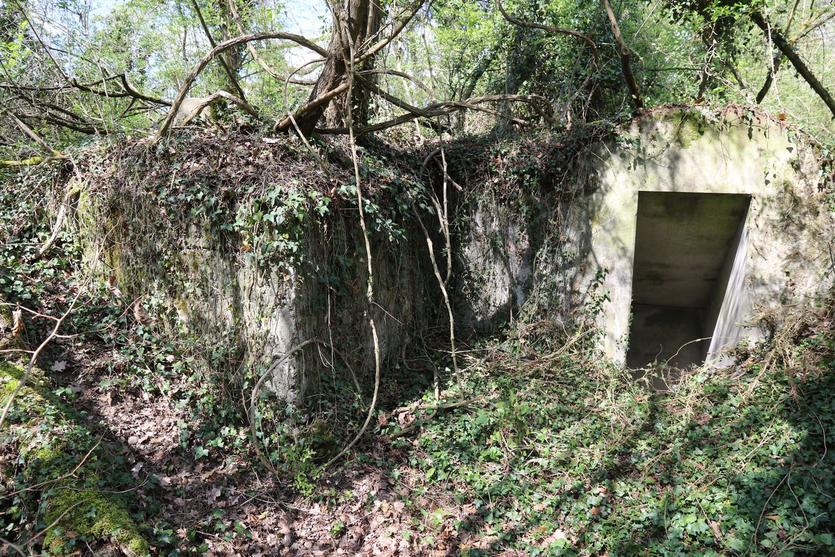 Ligne Maginot - OBERKOEPFLEIN 2 - (Abri) - L'abri allemand a été retourné. Les entrées face au Rhin sont donc renforcées. Entrée sud