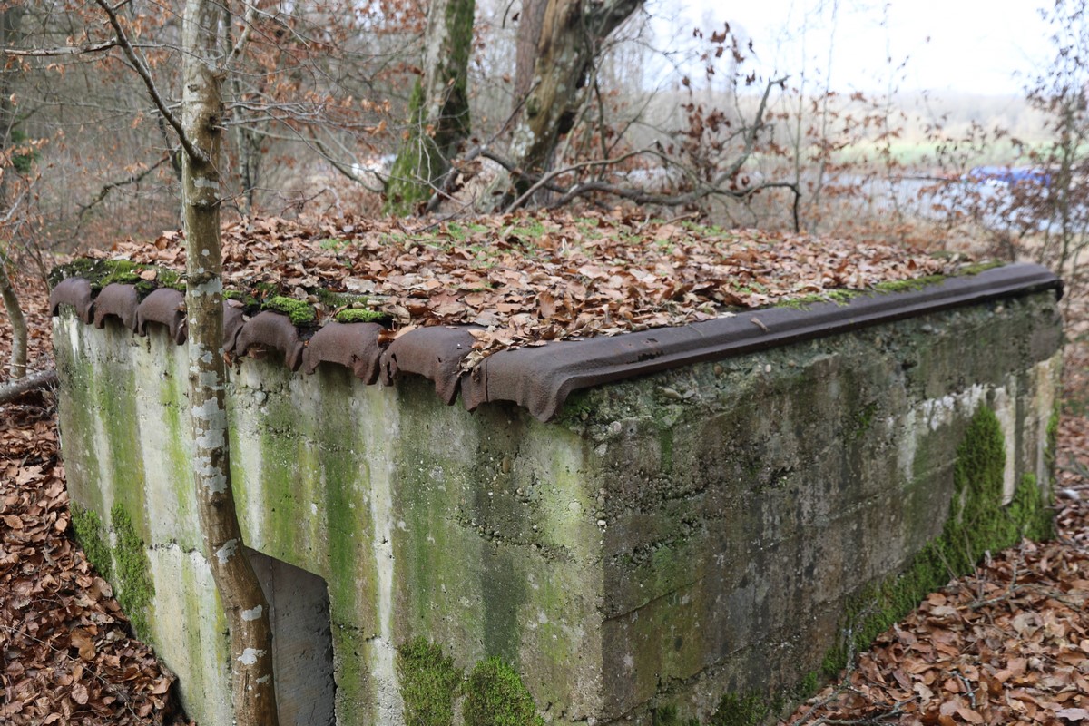 Ligne Maginot - HERBITZHEIM 29 - (Blockhaus pour arme infanterie) - La toiture est renforcée par des palplanches