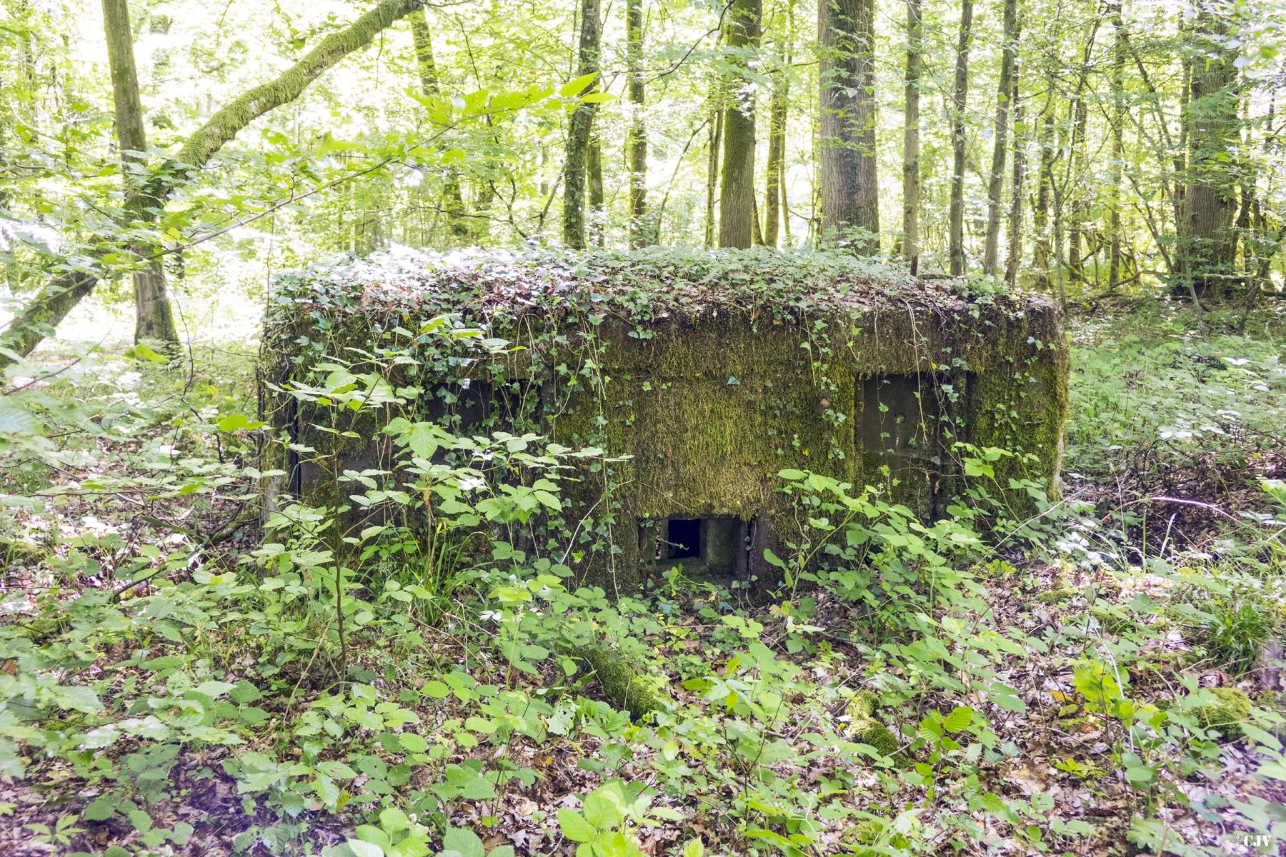 Ligne Maginot - UBERNIED 2 - (Blockhaus pour arme infanterie) - Camouflage naturelle