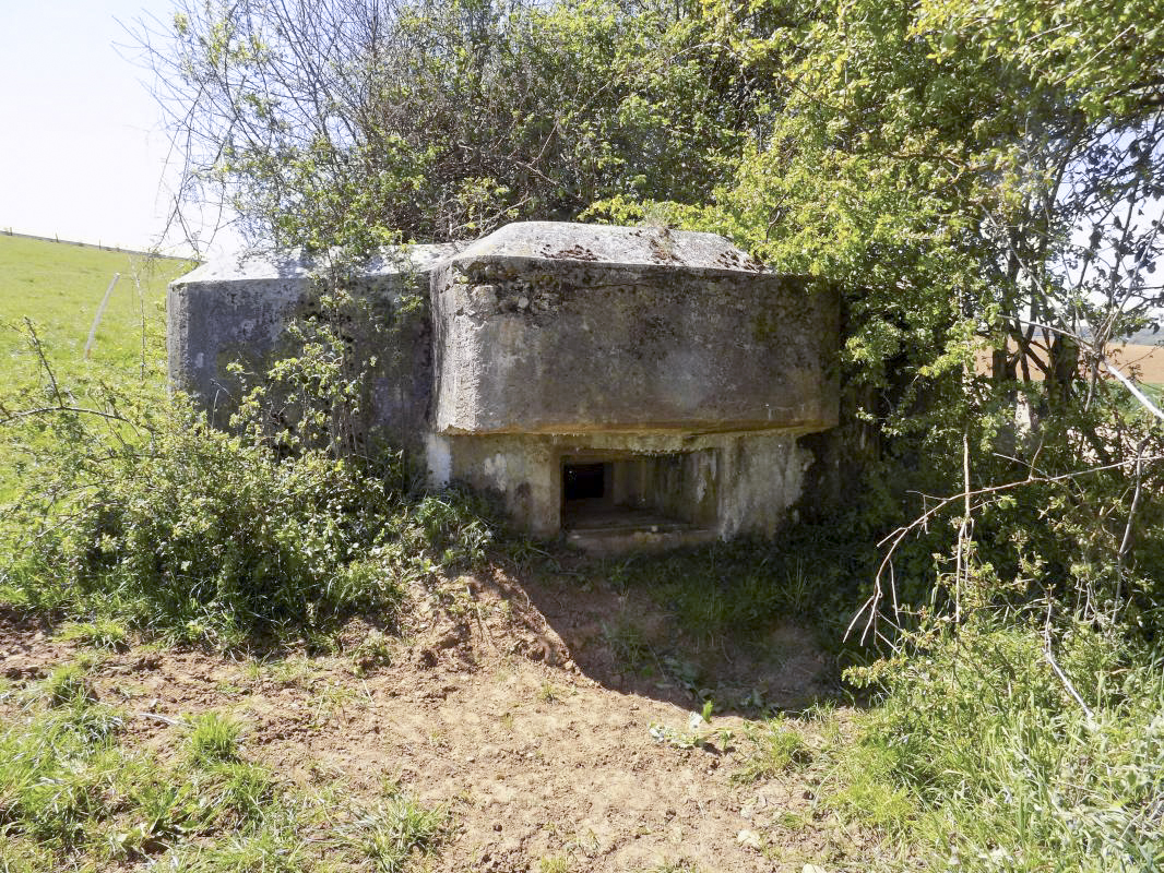 Ligne Maginot - 12C - MONT DE BRUNE NORD - (Blockhaus pour arme infanterie) - Face centrale