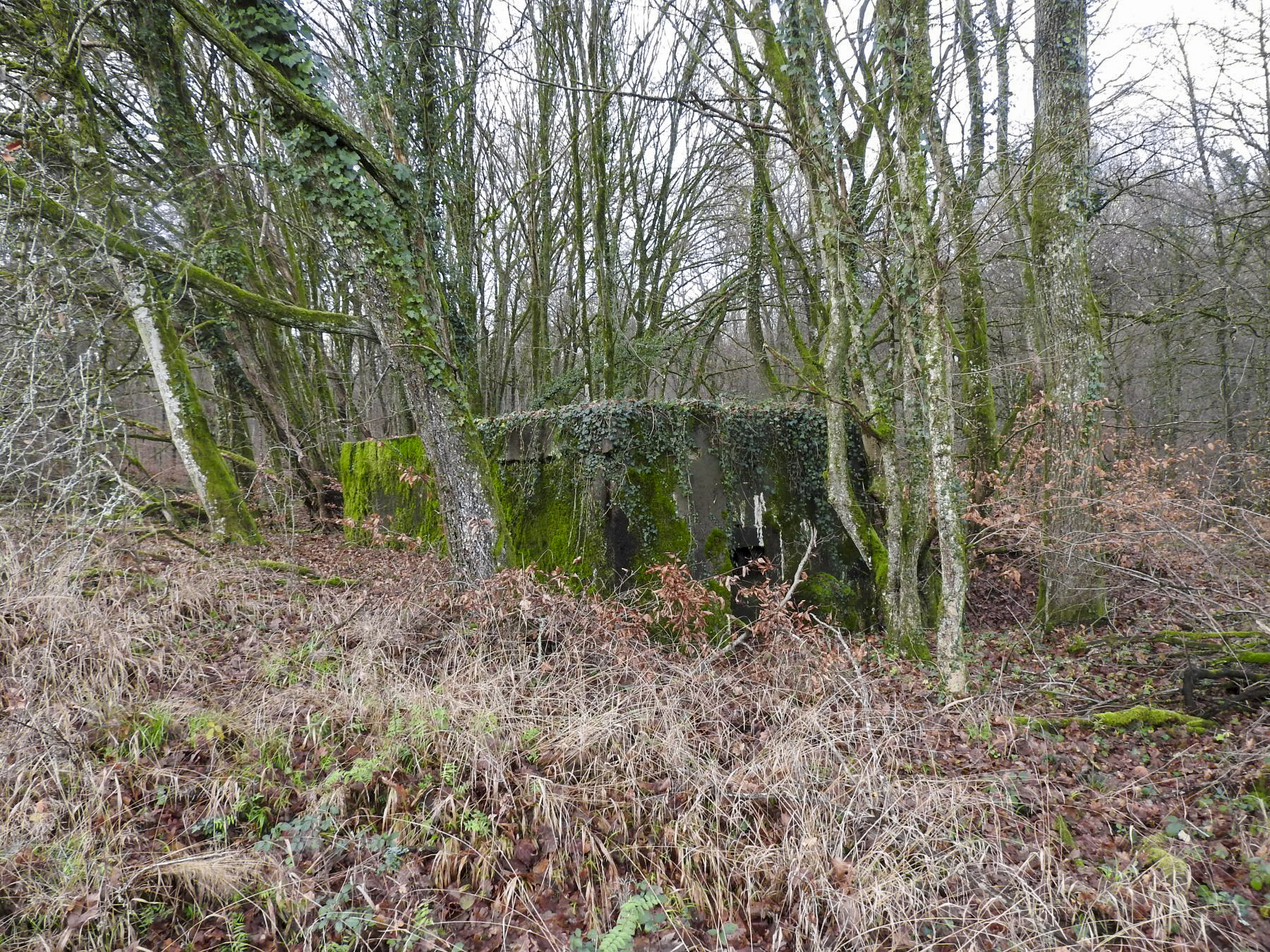 Ligne Maginot - BB357 - (Blockhaus pour arme infanterie) - Le blockhaus dans son environnement.