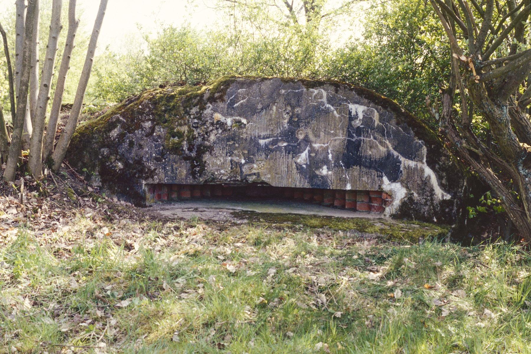 Ligne Maginot - PFAFFENBUSCH 1 - (Observatoire d'infanterie) - 