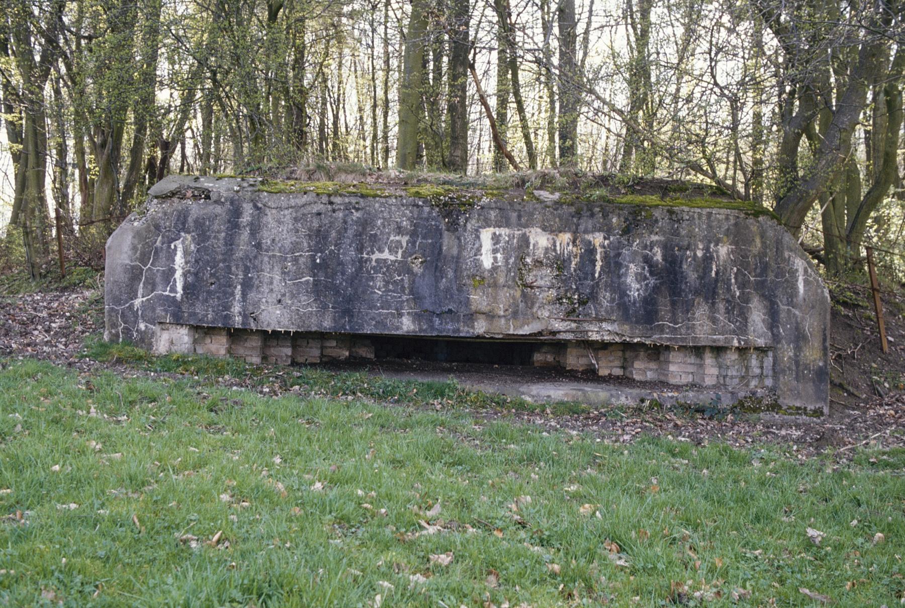 Ligne Maginot - PFAFFENBUSCH 3 - (Observatoire d'infanterie) - 